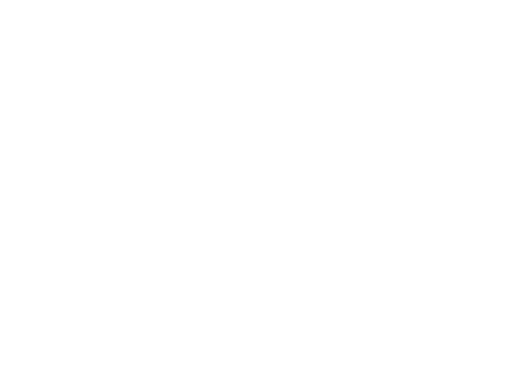 FJDynamics